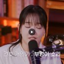 코르티스 2랑 부엉부엉 다 같은 노래임 고소 당하지 말라고 말해주는거 이미지