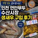 연안체 | 인천 연안 부두 수산시장 생새우 구입 후기