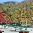 헤일로92 이미지