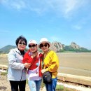 소풍 Daum카페