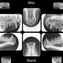 24시 폴 동물병원 이미지