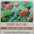 농협(NH)한삼인 양산점