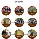영농조합법인 소생로컬푸드 | 100% 순수 국산 건강한 참기름 들기름 [우명동참기름마을]