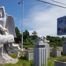 제주건강과 性 박물관 이미지