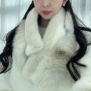 (주)팜모드