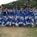 화순초 더 한국타임즈