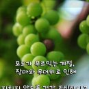 오늘도건강