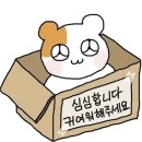 커피주라