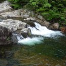 맑은산장농원 이미지