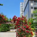 생곡목장2 | ['22.5.30 - '22.6.5] 6월의 첫 주, 서른하나의 삶이란