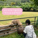 청정미인한우농장 | 여수 아이와 가볼만한곳 추천 동물먹이체험 가능한 '한우드림 동물체험장'