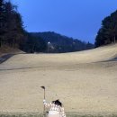 골드컨트리클럽 | 수도권 골프장 골드CC 컨트리클럽 야간라운딩 후기⛳️