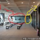 원주24시스카이동물메디컬센터 이미지