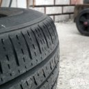 애니카랜드 장기점 이미지