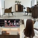 분당 야탑역 미용실 파우제 염색 후기 붉은기 없는 밀크 브라운