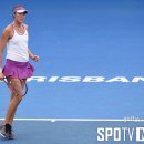 크로포드 이미지