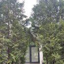 책속에풍덩Villa | 양평 수영장펜션 감성까지 최고인 ‘책속에풍덩 Lodge A’ 솔직 후기