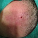 현대통통의원 이미지