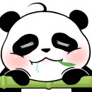소담비빔국수수원본점 네이버블로그