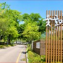 대구 옻골마을=400년 흙돌담길 따라 걷는 조선 양반가의 기품” 이미지