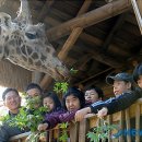 서울대공원노동조합 이미지