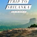 라하(RAHA) 이미지