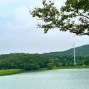 생태와갈치식당 이미지