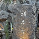 제주옥탑 - 해운대구 구남로 15 | 압구정로데오 외국인핫플 고기맛집 제주옥탑 웨이팅 내돈내산 후기