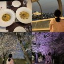 여의도 윤중로 벚꽃길 + 마포대교, 근처 맛집 스테이크바이앵거스 후기