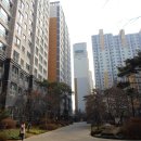 흥안대로 이미지