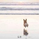 멘야마쯔리루원시티점 이미지