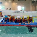 리틀아쿠아파크 이미지