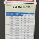 고고헬스 | 충주 야현체육센터 시범운영기간 수영장, 헬스 방문후기