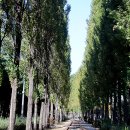 경춘선숲길 이미지