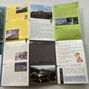 해인사소방서 | 경남 합천 오토캠핑장 추천 가야산 삼정야영장후기 / 해인사 홍류동 계곡캠핑장 가을단풍구경하기 좋은...