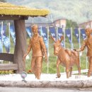 효석문학공원 이미지