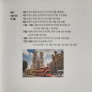 타로와의 치유 여행 이미지