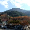 황골길 Daum카페