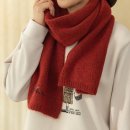 도그마미 이미지