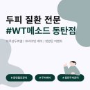 [Review] 개인 맞춤형 두피관리, WT메소드 동탄점