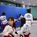 용호태권도 이미지