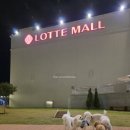 할매손충무김밥롯데스퀘어점 | [부산 기장군] 롯데 프리미엄아울렛 동부산점 무료 강아지운동장 펫스퀘어