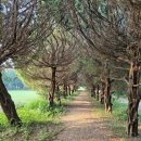 나무부동산중개 이미지