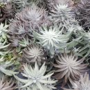 동곡농장 이미지