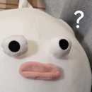 멍블랑 반려견미용실 이미지