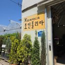 식물집사의 성지 파주 조인폴리아_주차부터 식물 가격, 득템해온 반려 식물 후기