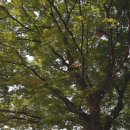 절부마을입구 이미지