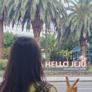 해광농장 | 미리보는 제주 뚜벅이 2박3일 여행코스! (with 함덕)