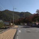 양지뜸 티스토리