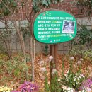 구서동 도시숲 이미지